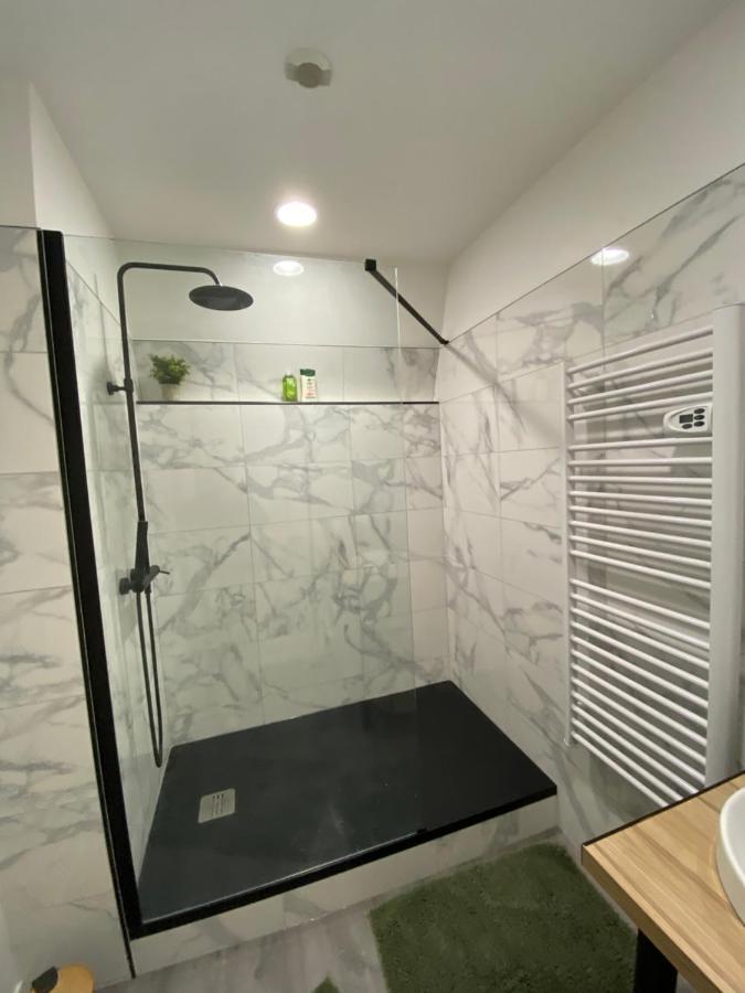 Apartment L'elegant: 80m2 Vue Sur Vignoble Au Centre D'epernay!! Epernay